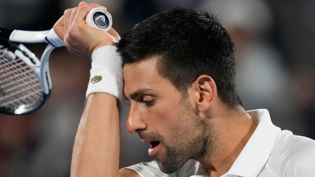 skysports-novak-djokovic-tennis_5685093.jpg
